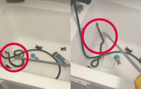 Descoperire șocantă în Medgidia! O femeie a găsit un șarpe în cada în care urma să-i facă baie copilului