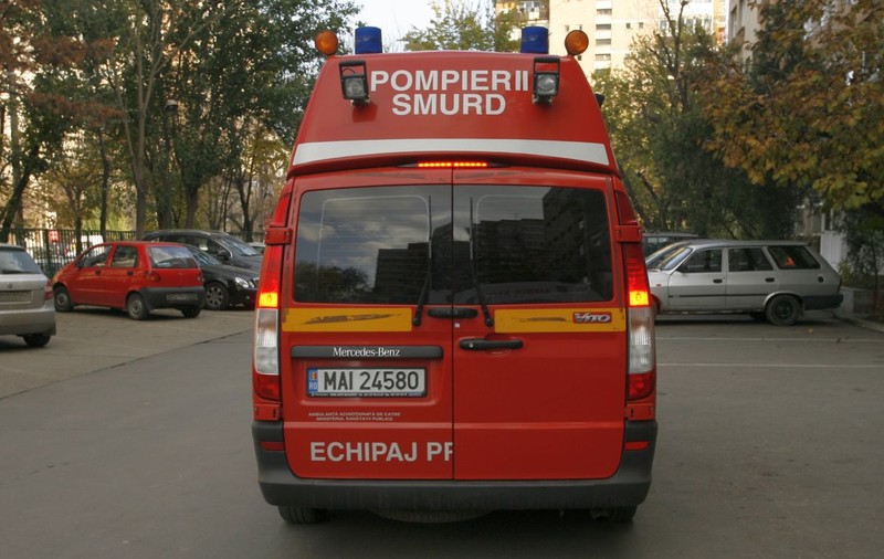 Alertă în Maramureş! Copil de 4 ani, în comă după ce a mâncat ciuperci otrăvitoare