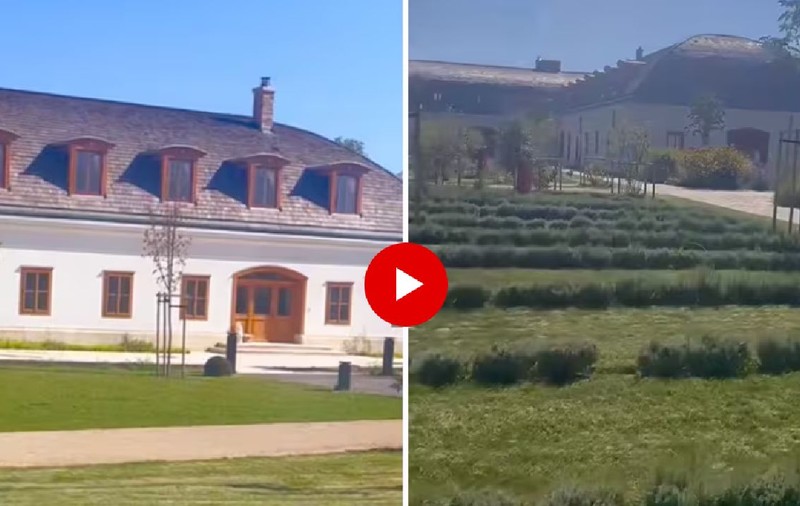 Un politician independent a intrat pe ascuns pe proprietatea de lux a lui Viktor Orban și a filmat totul: „Paznicii mi-au lovit mașina și m-am răsturnat” | VIDEO