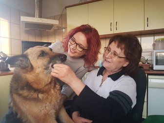 Foto