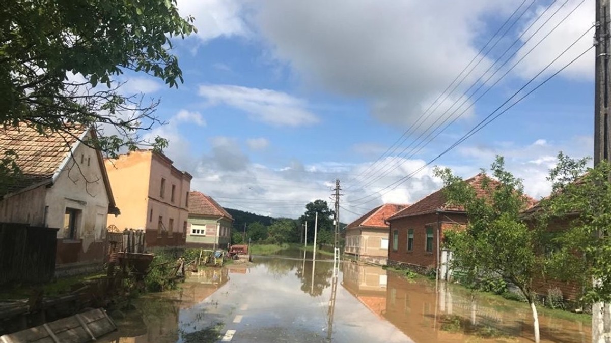 Arhiva foto