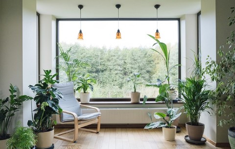Urban Jungle: adaugă „viață” în designul interior
