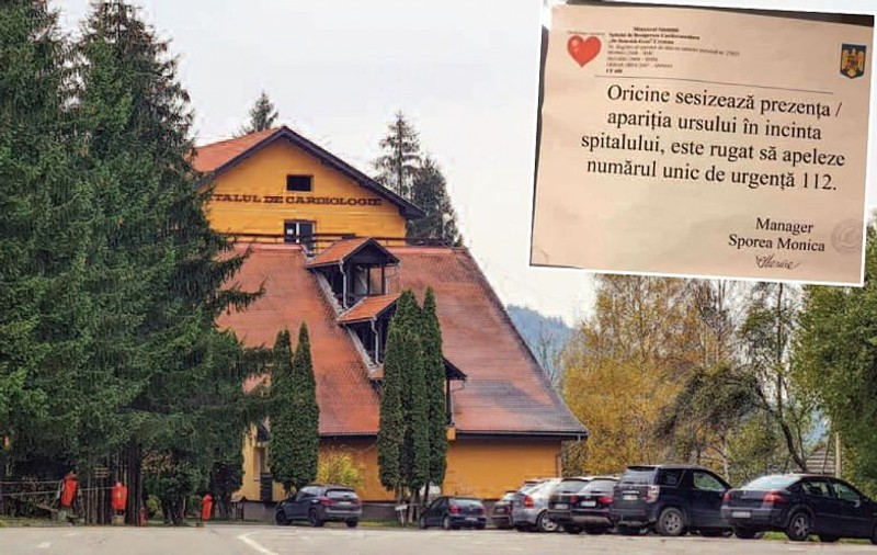 Explicația unui spital din Covasna, după ce a pus afișe în care oamenii erau îndemnați să sune la 112 dacă văd ursul în curtea instituției