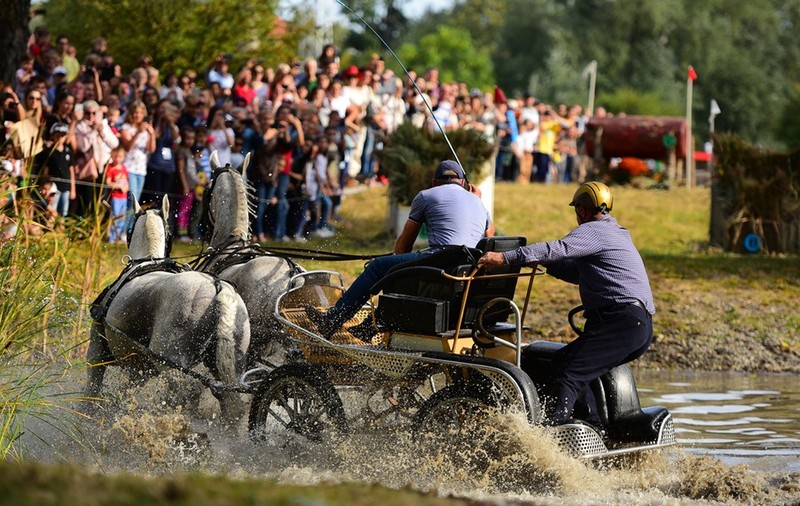 Concurs ecvestru pe domeniul Cantacuzino