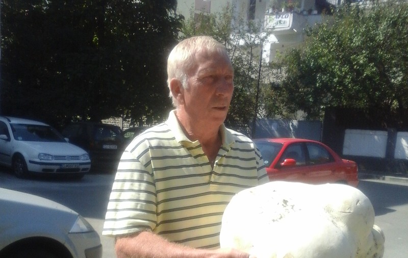 Descoperire demnă de Cartea Recordurilor! Un craiovean a găsit O CIUPERCĂ GIGANTICĂ