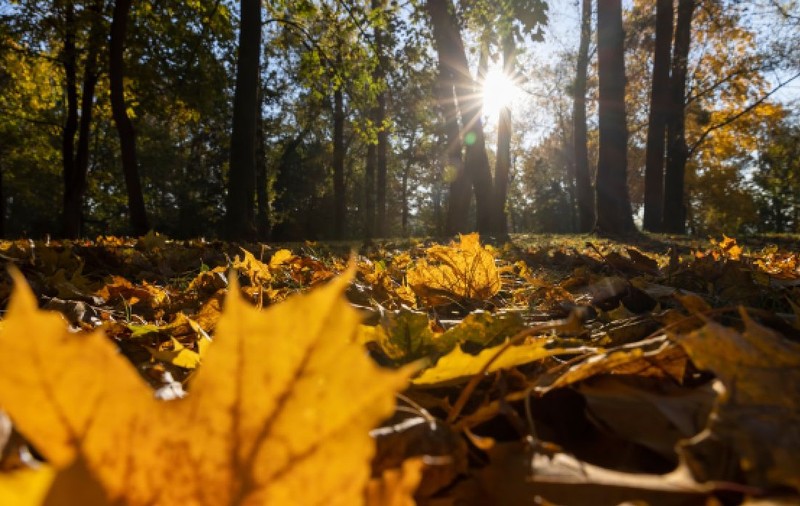 Când se încălzește vremea. ANM a actualizat prognoza meteo pentru următoarele 4 săptămâni