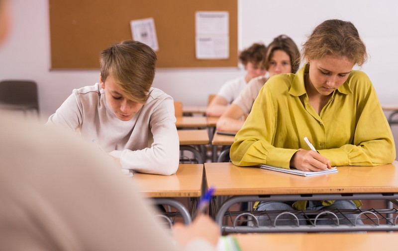 Rezultate BAC Botoșani 2024. Notele, publicate pe edu.ro