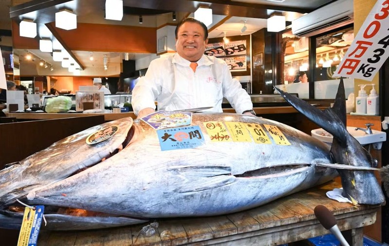 Suma-record plătită de „Regele tonului” din Japonia pentru un pește de 243 de kilograme