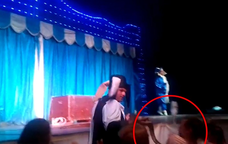 Momentul şocant în care o fetiţă de 12 ani din Satu Mare a fost muşcată de un piton de la circ | VIDEO  