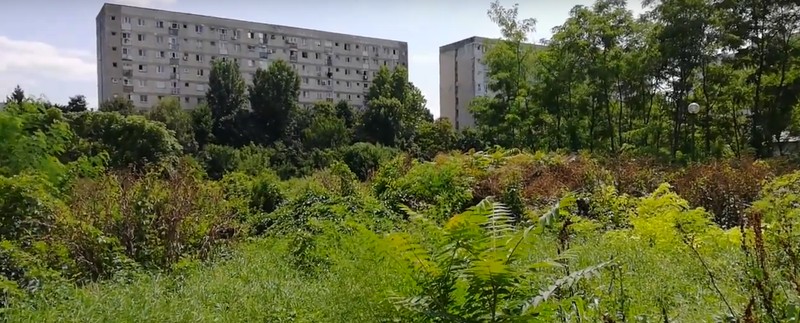 Zona în care a dispărut pacienta era plină de bălării