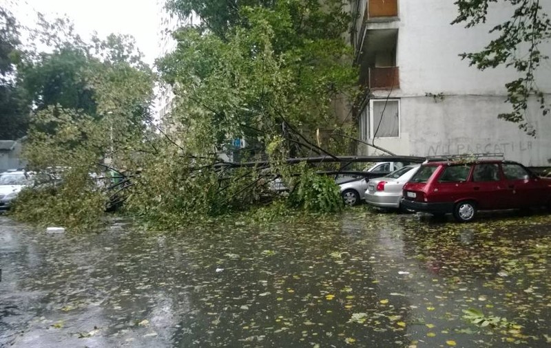 Locuinţe inundate, maşini avarite şi acoperişuri smulse de furtună, la Medgidia