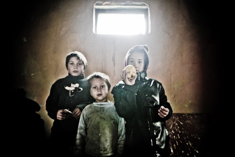 Arhiva foto