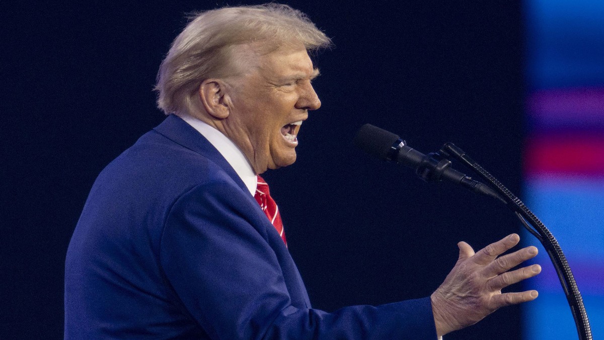 Donald Trump, înfrânt definitiv în apelul cazului de abuz sexual asupra lui E Jean Carroll Foto: Hepta