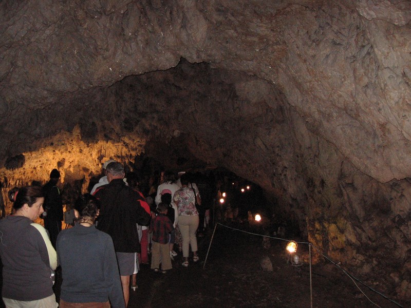 Arhiva foto