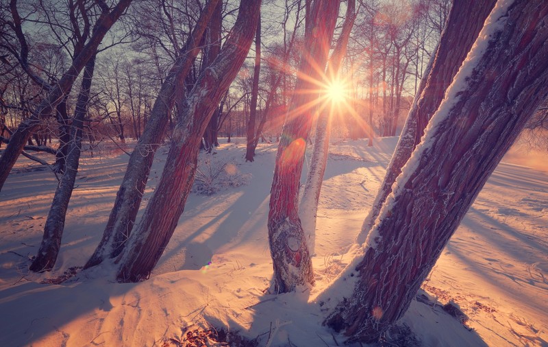 Cum va fi vremea mâine. Prognoza meteo pentru miercuri, 26 februarie 2025