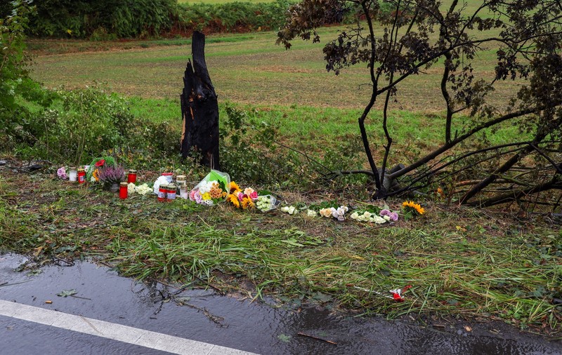 Un bărbat și doi copii au ars de vii într-o Tesla după un accident: salvatorii n-au reușit să deschidă ușile blocate