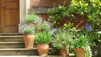 apa oxigenata moduri de folosire