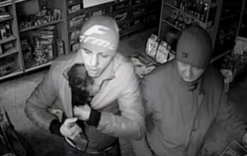 Un căţel de buzunar a fost furat dintr-un pet-shop din Constanţa. Hoţii, căutaţi de poliţie - VIDEO