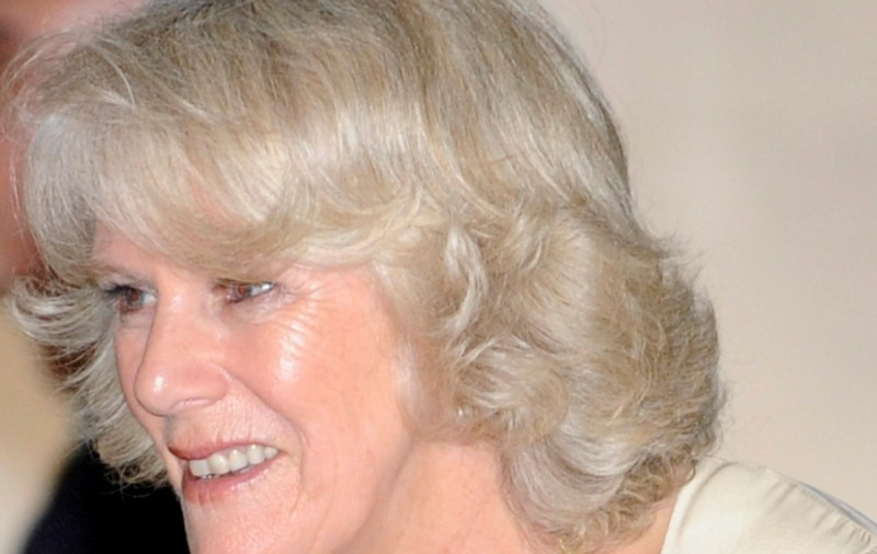 Camilla s-a întâlnit cu soldaţii răniţi în război