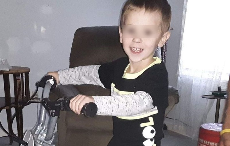 Un băiețel de trei ani a supraviețuit două nopți într-o pădure. Micuțul spune că un urs a avut grijă de el