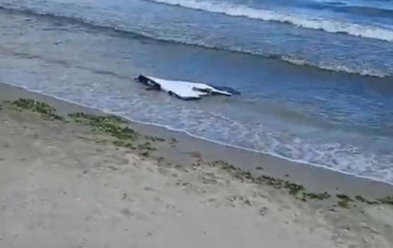 Două fragmente de dronă, descoperite vineri în Marea Neagră: obiectul găsit la Sulina avea încărcătura explozibilă