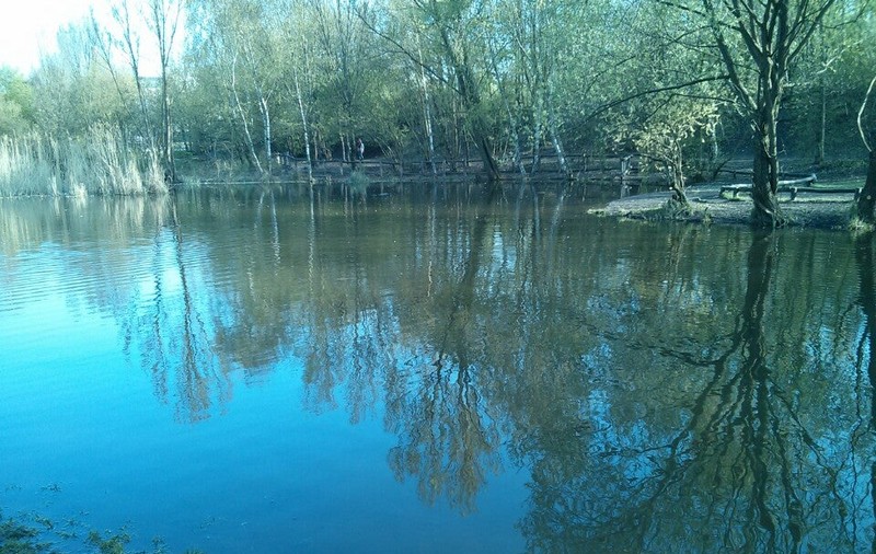 Bărbat scos în hipotermie dintr-un lac în care se aruncase pentru a scăpa de polițiști, în Germania