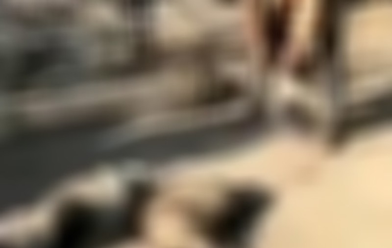 TERIFIANT! Imaginile care au revoltat internetul. Iată CRUZIMEA în formă pură | VIDEO 18+