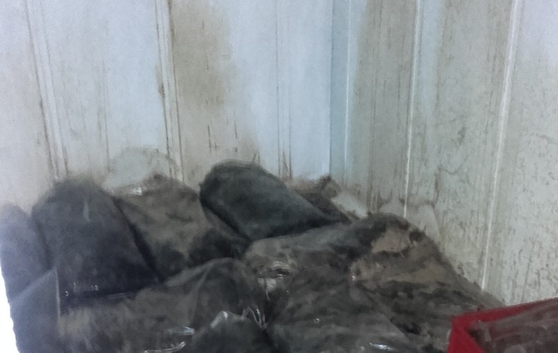 Două tone de carne în putrefacţie, găsite de inspectorii DSV într-un abator din Codlea