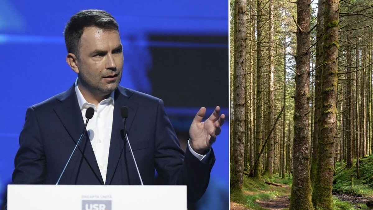 colaj foto format din două fotografi: imaginea din stânga îl arată pe Cătălin Drulă, îmbrăcat într-o cămașă albă și un sacou bleumarin, văzut din profil în timp ce vorbește în spatele unui pupitru cu sigla USR pe care se află două microfoane tip fir, iar imaginea din dreapta prezintă o pădure cu mulți arbori, văzuți de la nivelul solului