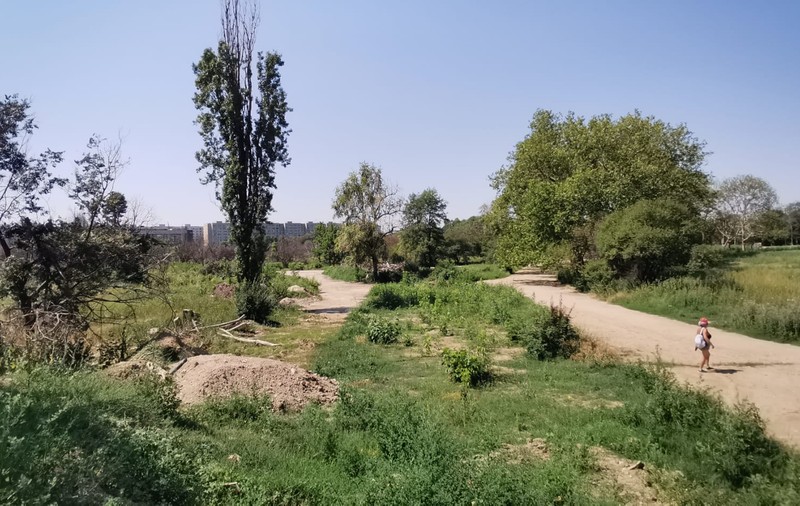 Cum a devenit o femeie de 90 de ani „moșieră” pe domeniul public din inima Bucureștiului. Locuitorii zonei cer în instanță anularea retrocedării „în natură” a Parcului IOR