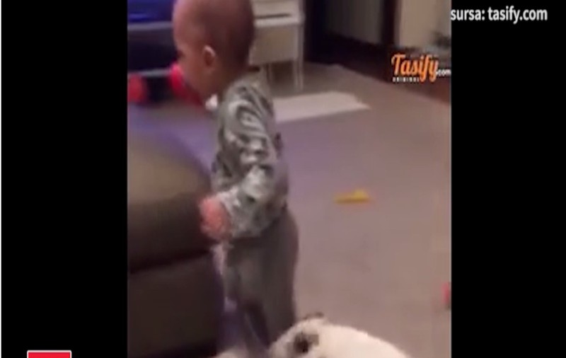 Dominic, juniorul lui Velea, îl "CHEAMĂ PE CRISTI." Vezi cum au parodiat celebrul viral!
