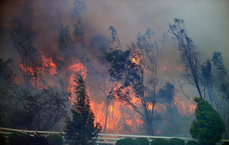 PRĂPĂD ÎN CALIFORNIA: Mii de persoane, EVACUATE ÎN URMA INCENDIILOR DE VEGETAŢIE! FOTO