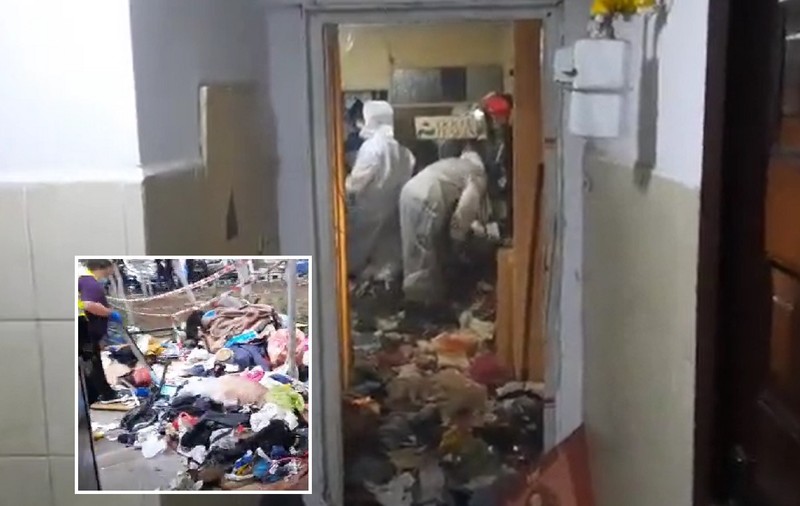 Câini chinuiți și uciși în apartamentul unei femei din București. În „casa groazei”, polițiștii au mai găsit patru animale în viață