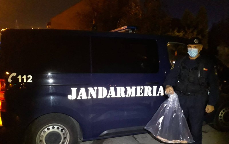 VIDEO | Un șarpe exotic din America de Nord, prins de jandarmi într-o scară de bloc din Timișoara