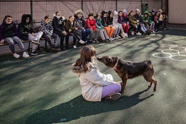 Challapa adulmecă o posibilă „victimă”, la cursul din martie, de la Liceul „Miguel de Cervantes” din București