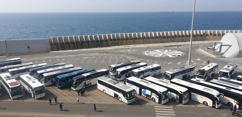 Autocarele pleacă cu turiștii străini blocați pe navă din Italia. Ai noștri se uită pe geam.