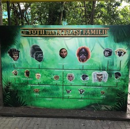 Amuzându-se la Grădina Zoologică din București