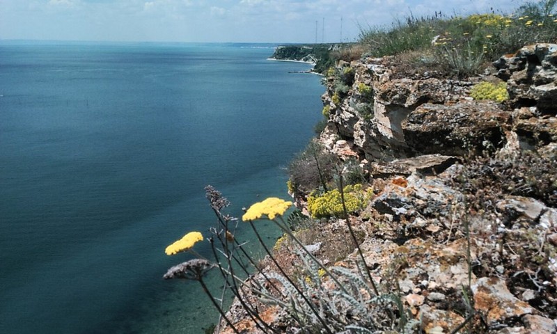Arhiva foto