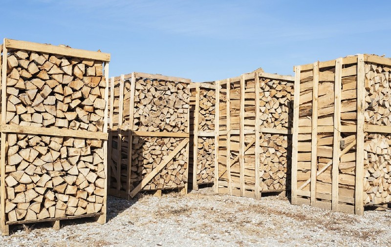 Lemne de foc mai scumpe în toată țara: cât plătesc românii pe metrul cub în 2025