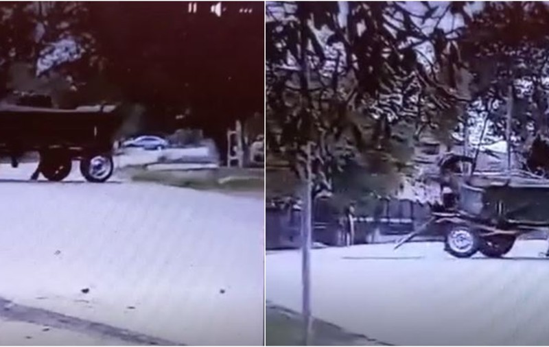 Bărbatul din Olt acuzat că şi-a bătut cu bestialitate calul, arestat preventiv pentru 30 de zile. Scena violentă, filmată de un localnic | VIDEO