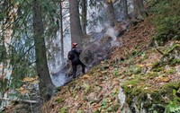 Un pompier în timp ce stinge un incendiu de vegetatie