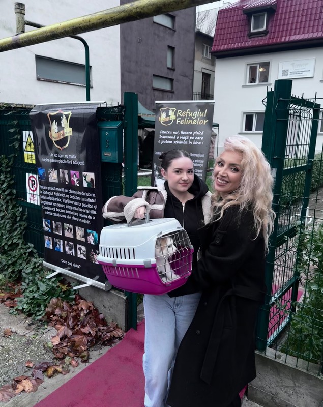 Casa de avocatură transformată în târg de adopție pentru pisici. Povestea pisicilor Aristo și Crat. Marius Todeancă, avocat: „Responsabilitatea față de animale este un semn de civilizație, nu un hobby”
