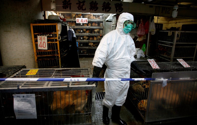 China are și gripă aviară! O tulpină foarte agresivă de H5N1 a fost descoperită în provincia Hunan