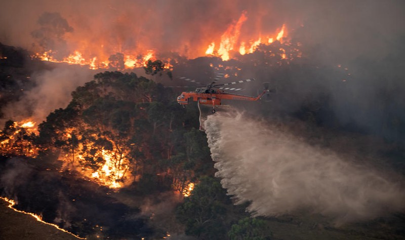 Australia este mistuită de cele mai grave incendii din istoria sa