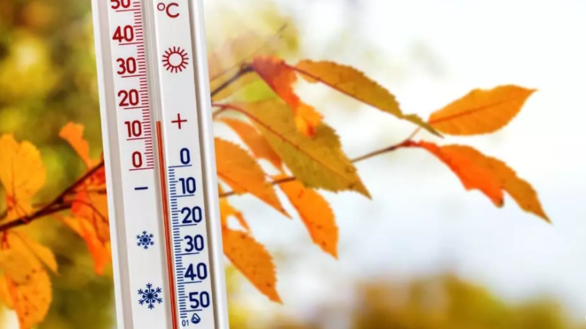 Un termometru care indică temperatura de 10 grade iar în fundal se văd frunze de toamnă