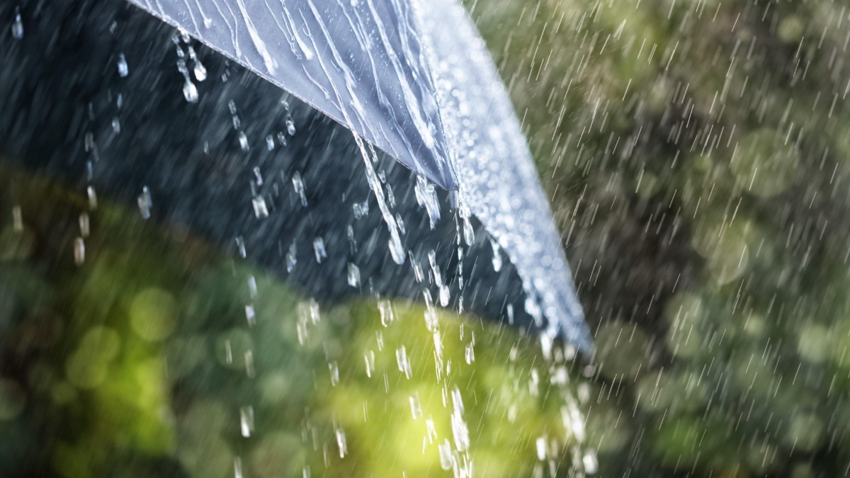 În imagine este ilustrată o umbrelă neagră, deschisă în timp ce plouă