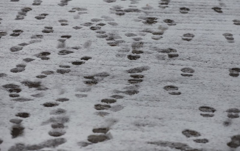 Vremea în perioada 2 februarie - 2 martie 2026. ANM anunță temperaturi oscilante și precipitații abundente