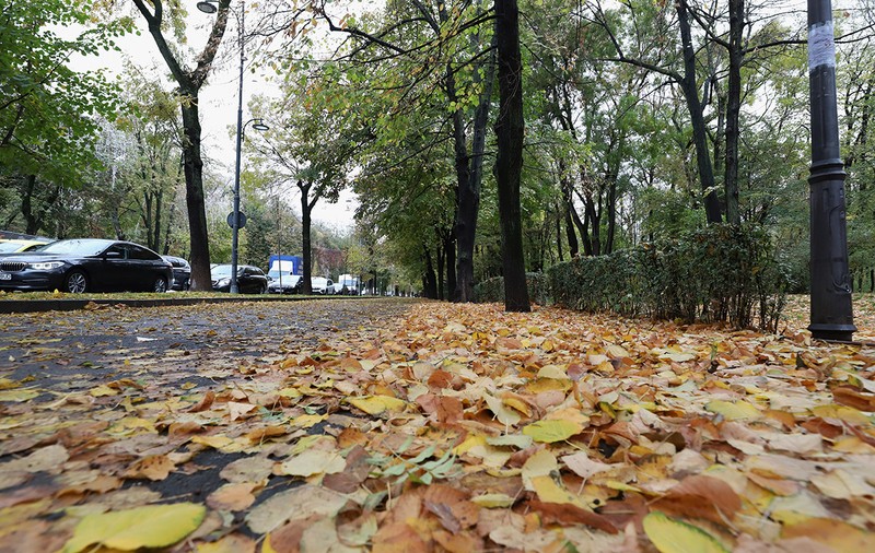 Cum va fi vremea mâine. Prognoza meteo pentru duminică, 17 noiembrie