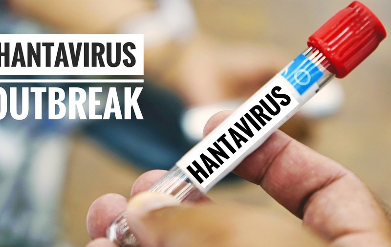 Boala produsă de hantavirus poate fi mortală. Ce trebuie să știi când pleci în vacanță pe o navă de croazieră explică dr. Adrian Marinescu
