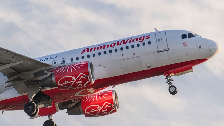 AnimaWings a cerut insolvența, iar zeci de curse sunt anulate. Ce pot face românii care s-au trezit cu zborul anulat și cum își pot salva vacanța. Sursă foto: Shutterstock